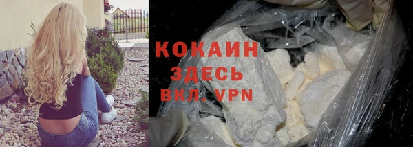молекула духа Калининец